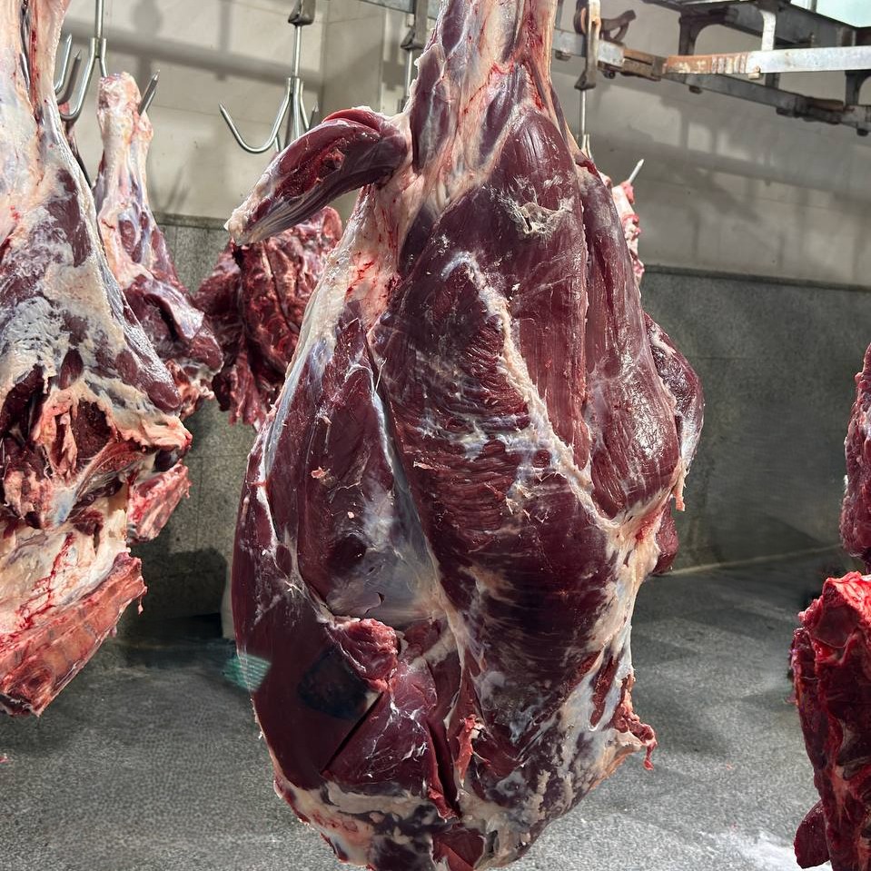 فرآوری گوشت گاو تازه